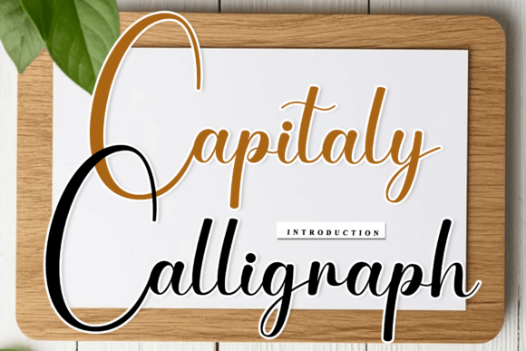 Capitaly Calligraph Font: A Web Designer’s Layout Review